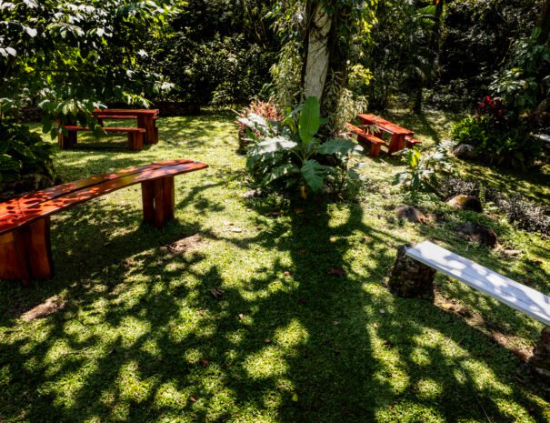 “La Terraza Guest House B&B garden Grecia Costa Rica.