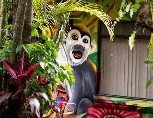 2025-LA TERRAZA GUEST HOUSE-LA BELLA-05