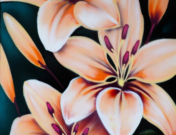 2025-LA TERRAZA GUEST HOUSE-PURA VIDA-08